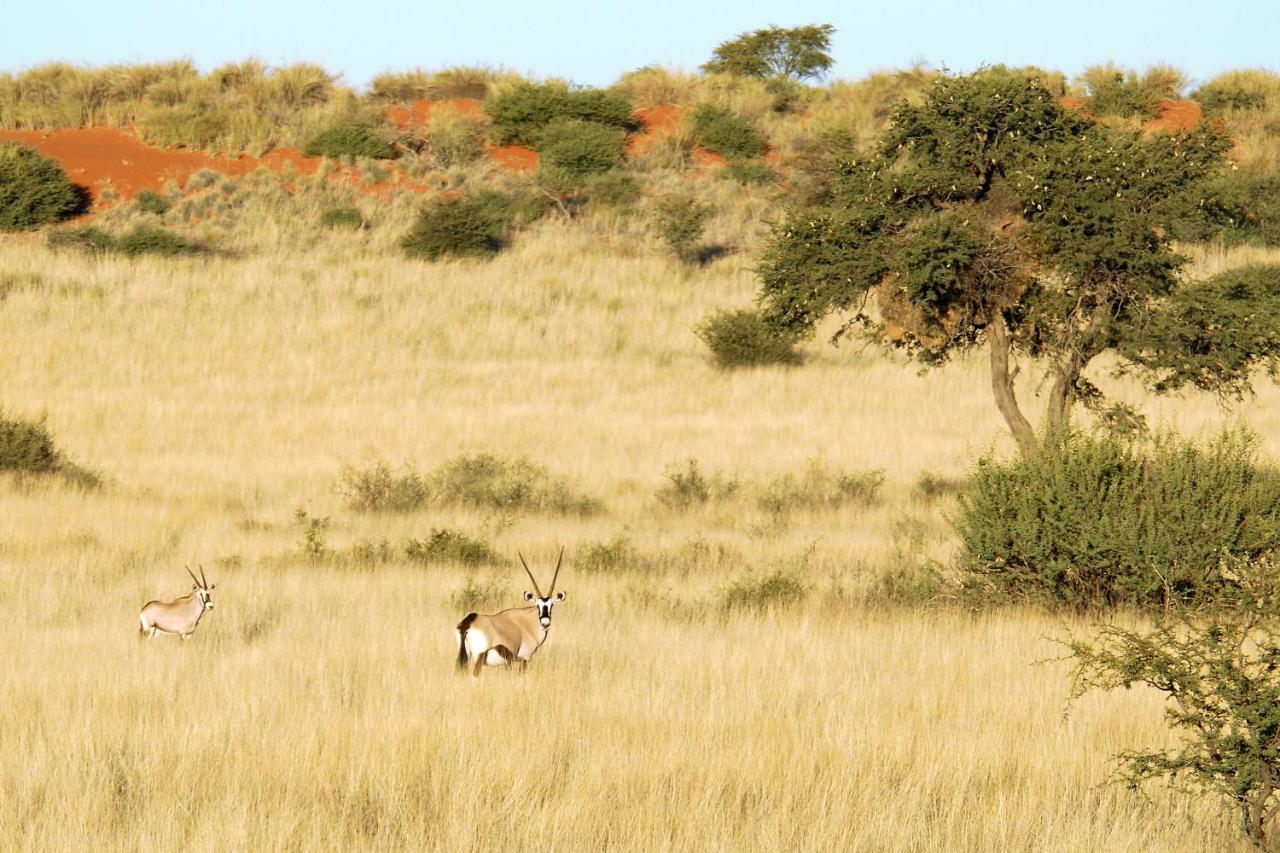 Kalahari Anib Camping2Go Mariental Luaran gambar